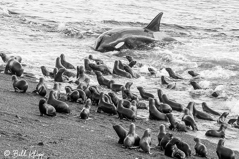 Argentina photos by Bill Klipp