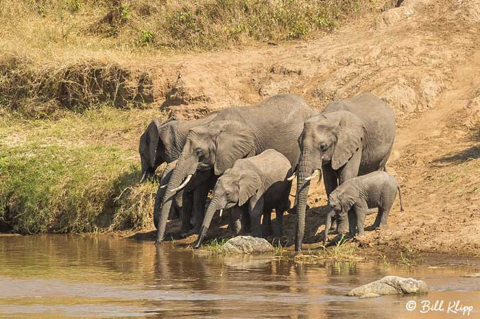 Serengeti National Park, Serian North Alex Walker Camp