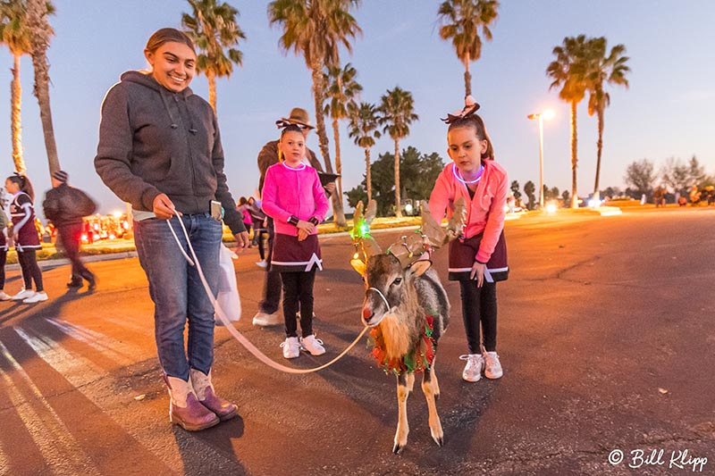 Christmas Lights Disco Bay Photos by Bill Klipp