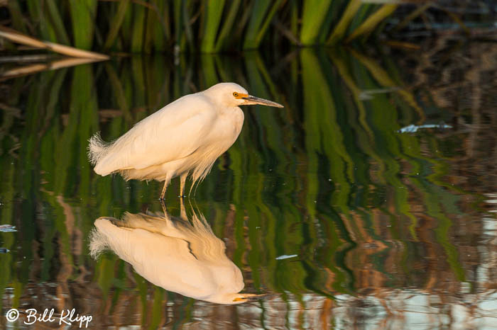 Discovery Bay Photos by Bill Klipp