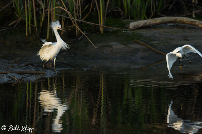 Discovery Bay Photos by Bill Klipp