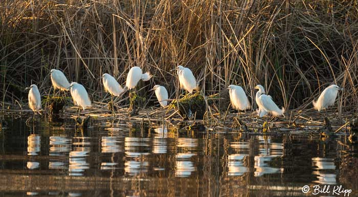 Discovery Bay Photos by Bill Klipp