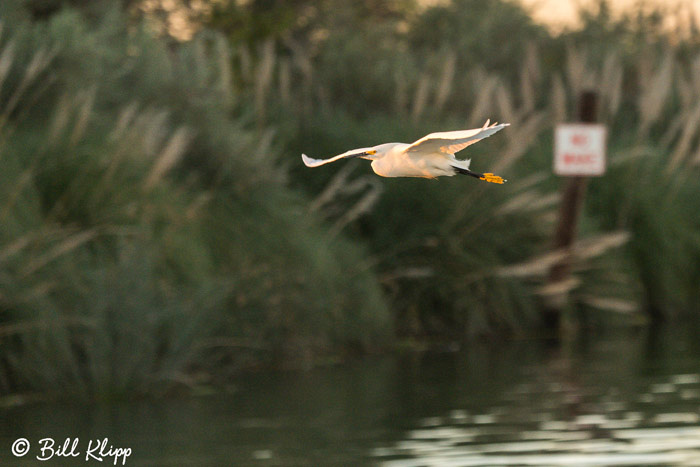 Discovery Bay Photos by Bill Klipp