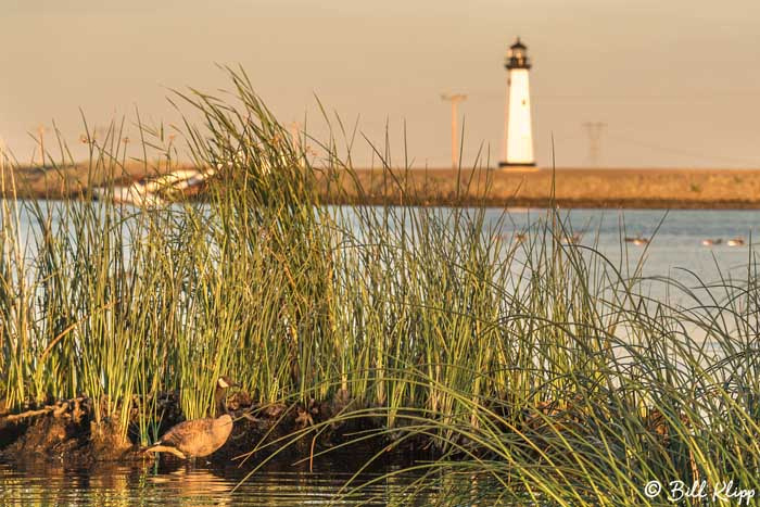 Discovery Bay Photos by Bill Klipp