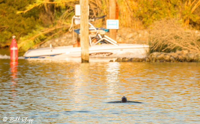 Discovery Bay Photos by Bill Klipp