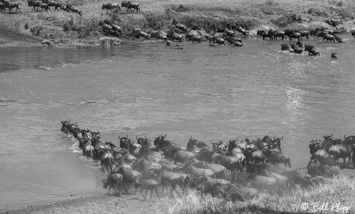 Serengeti National Park, Serian North Alex Walker Camp