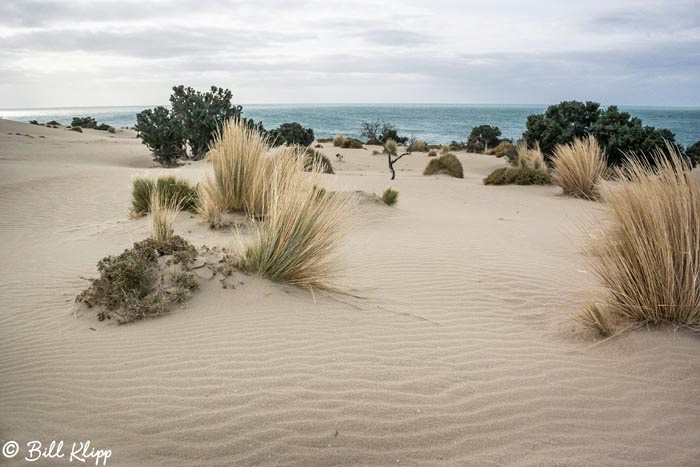 Argentina photos by Bill Klipp