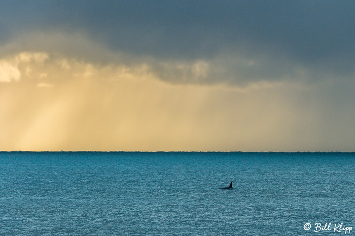 Argentina photos by Bill Klipp