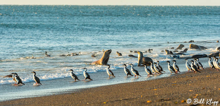 Argentina photos by Bill Klipp