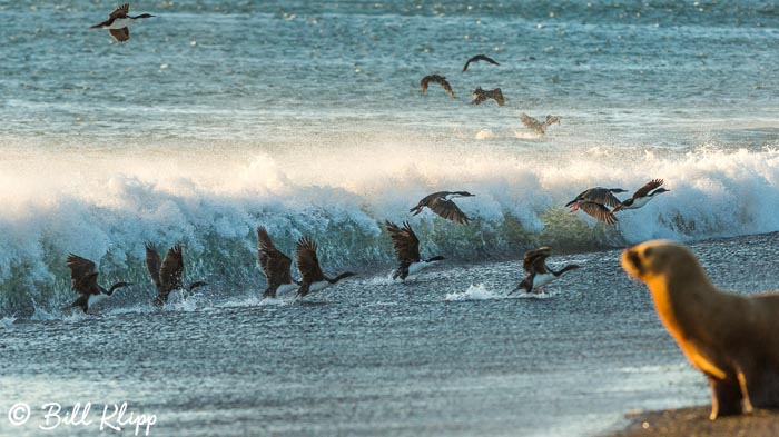 Argentina photos by Bill Klipp