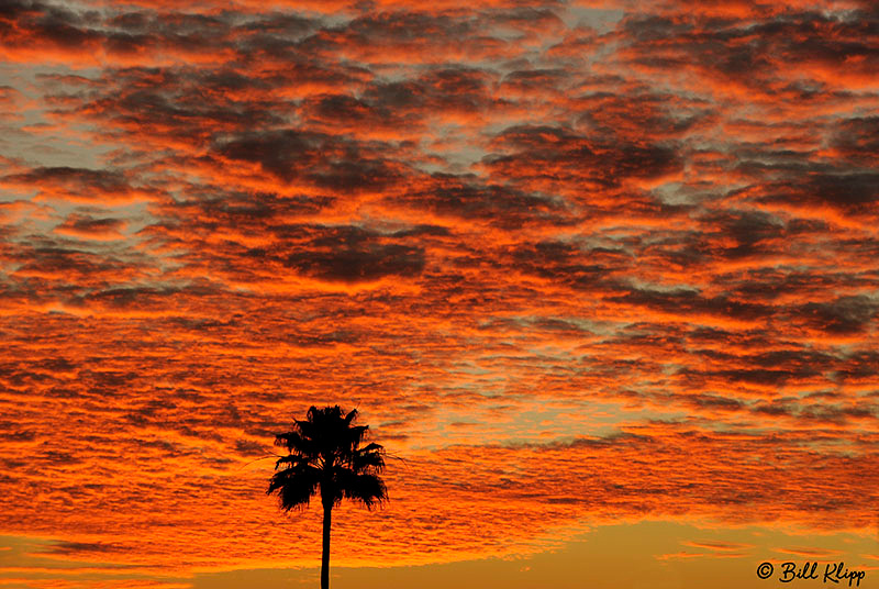 Delta Sunset  Photos by Bill Klipp