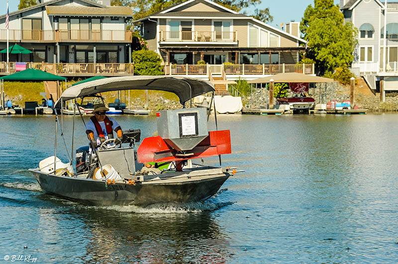 Discovery Bay photos by Bill Klipp