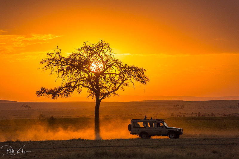 Maasai Mara, Kenya photos by Bill Klipp,