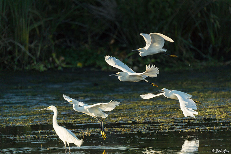 Discovery Bay Photos by Bill Klipp