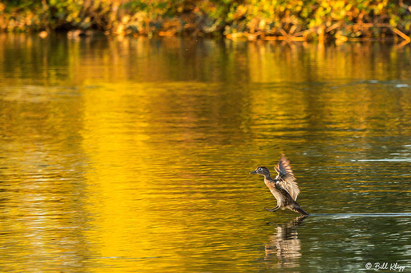 Discovery Bay Photos by Bill Klipp