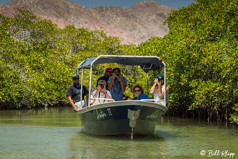 Isla San Jose, Baja Photos by Bill Klipp