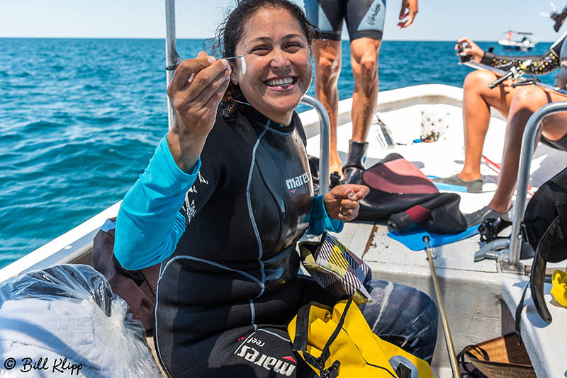 Whale Shark Research, Sea of Cortez, Baja Photos by Bill Klipp