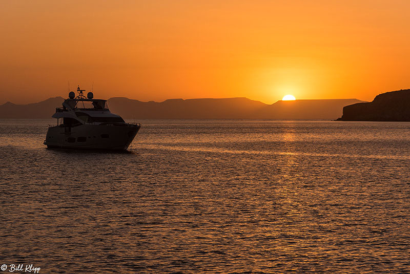 Common Dolphins, Sea of Cortez, Baja Photos by Bill Klipp