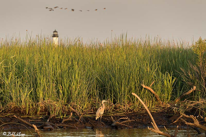 Discovery Bay Photos by Bill Klipp