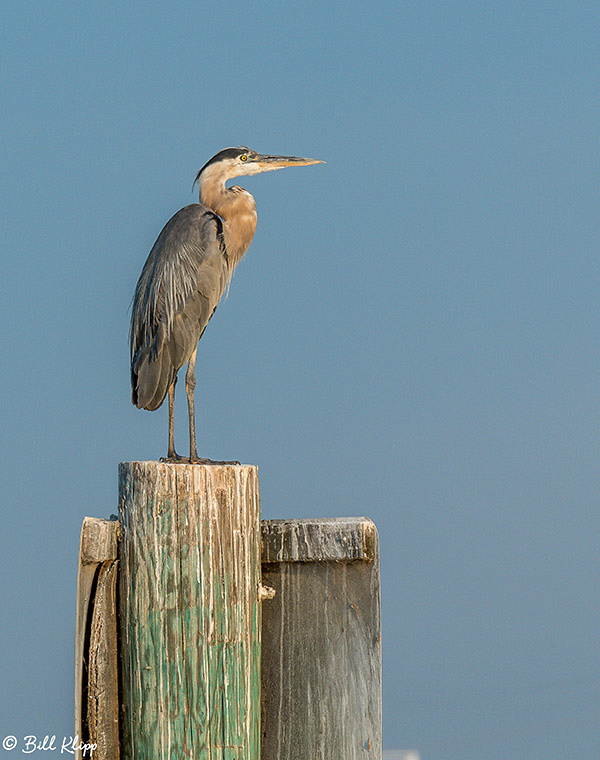 Discovery Bay Photos by Bill Klipp