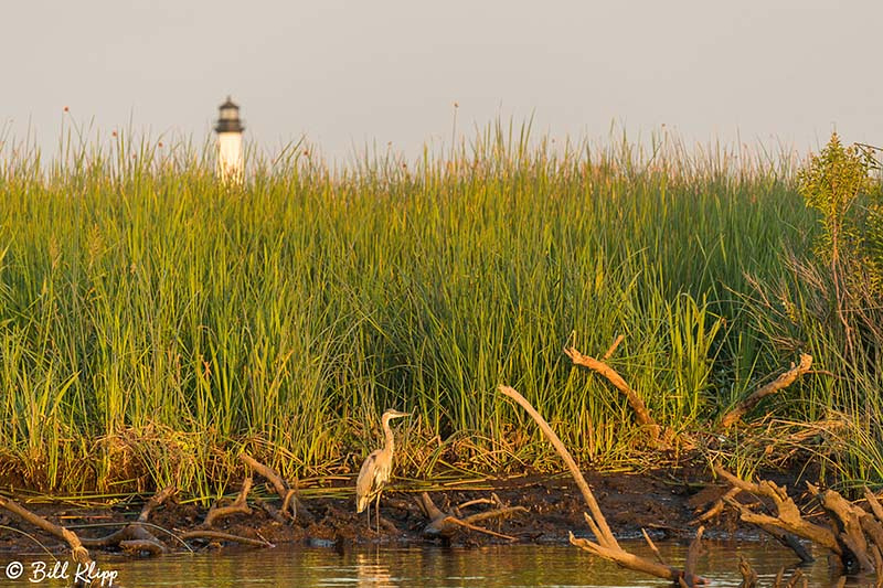 Discovery Bay Photos by Bill Klipp