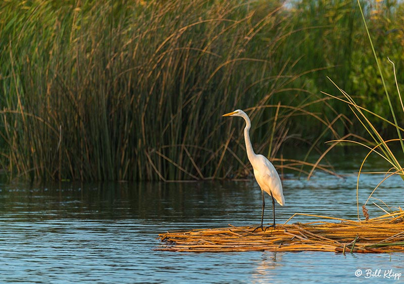 Discovery Bay Photos by Bill Klipp