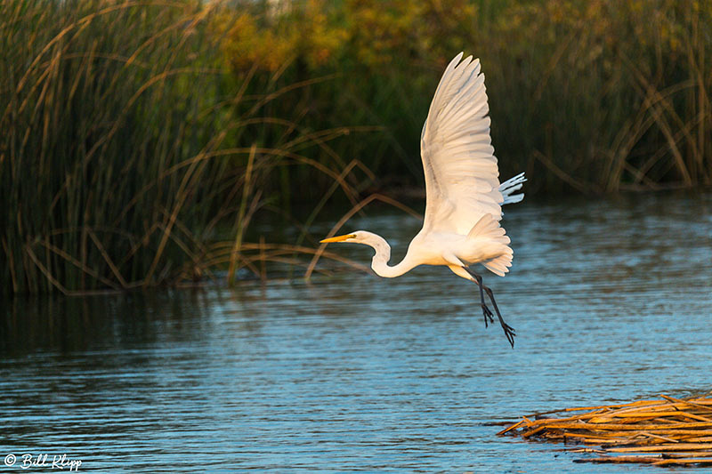 Discovery Bay Photos by Bill Klipp