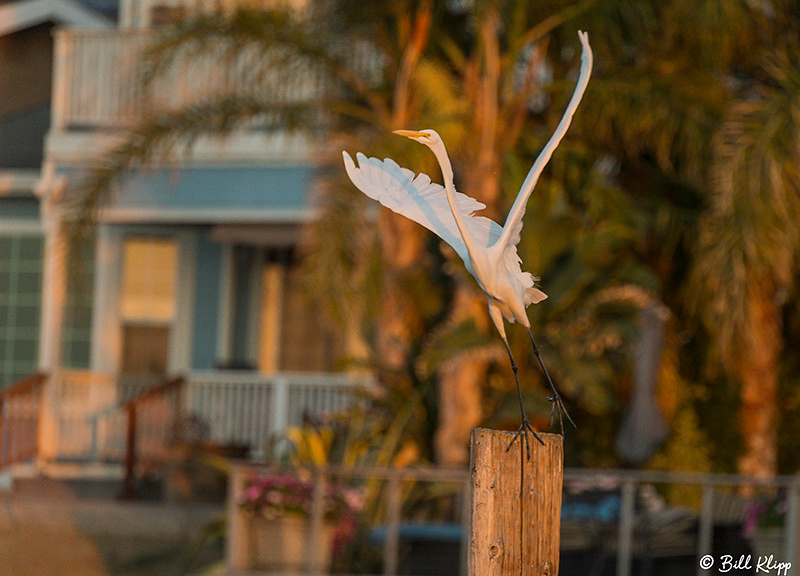 Discovery Bay Photos by Bill Klipp