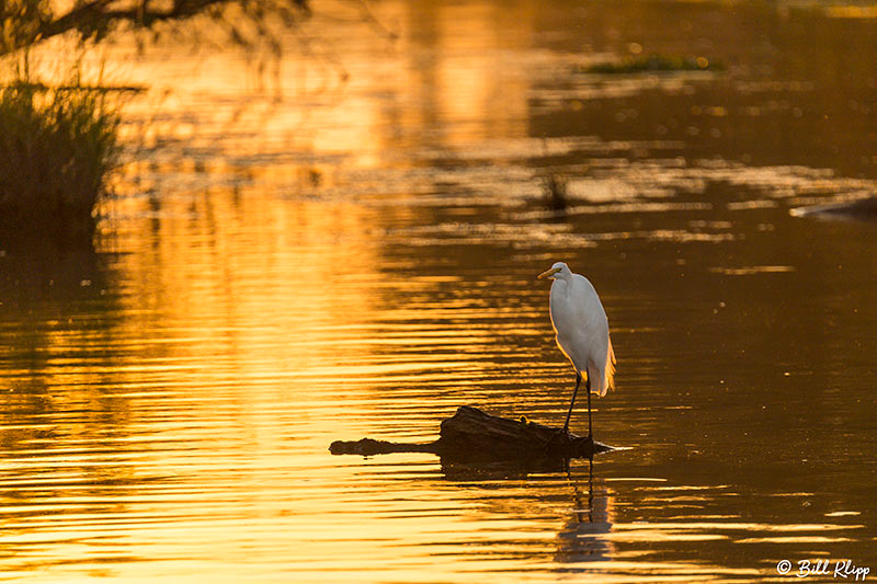 Discovery Bay Photos by Bill Klipp