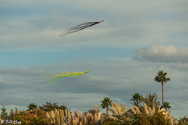 Discovery Bay Photos by Bill Klipp