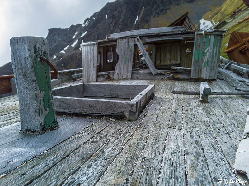 Grytviken, South Georgia Island Nov 2017, Photos by Bill Klipp