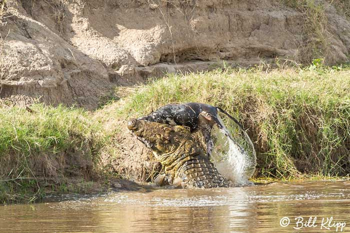 Serengeti National Park, Serian North Alex Walker Camp