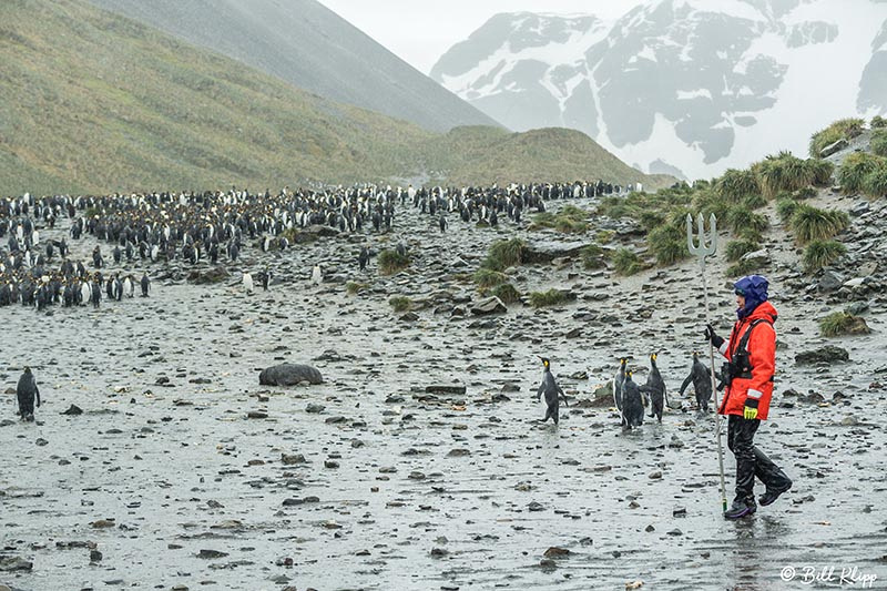 Right Whale Bay, South Georgia Island Photos by Bill Klipp