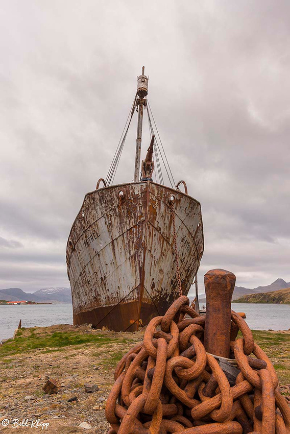 Grytviken, South Georgia Island Nov 2017, Photos by Bill Klipp