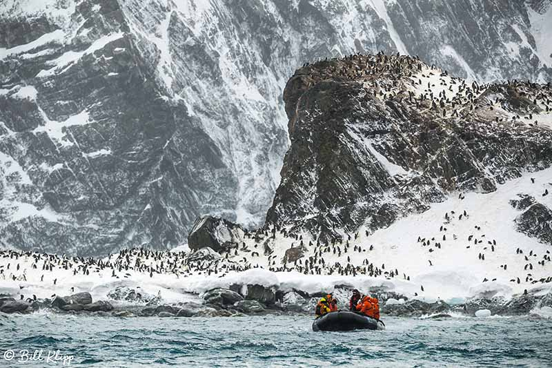 Point Wild, Elephant Island, Weddell Sea, Antarctica, Nov 2017,