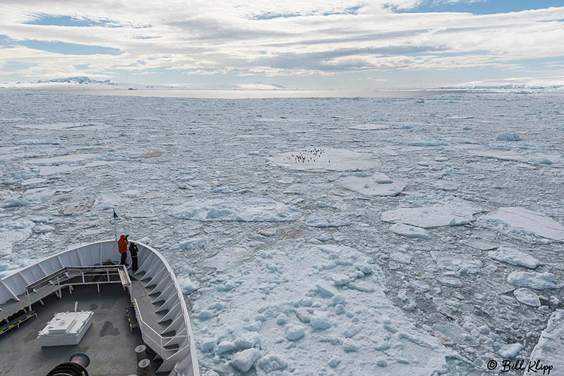 ICE Cruising, Antarctic Sound, Antarctica, Nov 2017, Photos by B