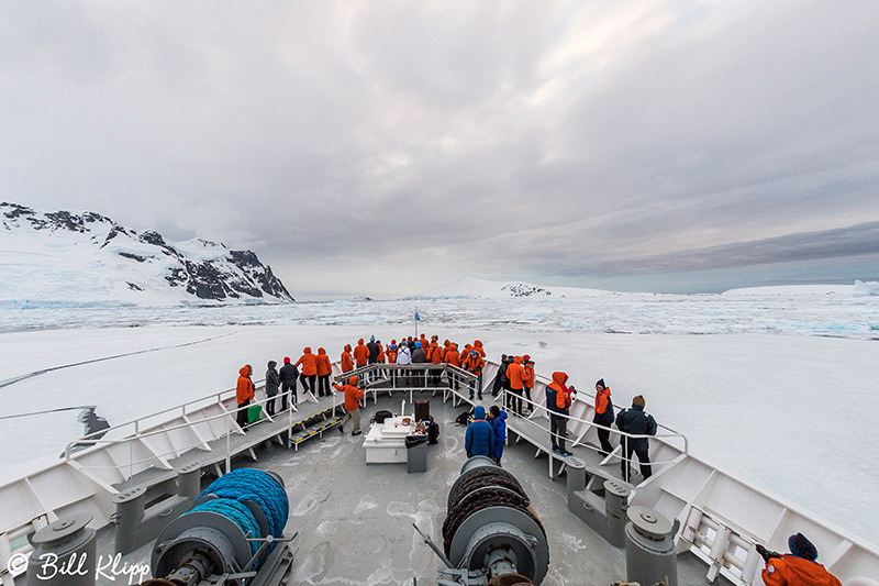 Lemaire Channel, Gerlache Straits, Antarctica, Nov 2017, Photos by Bill Klipp