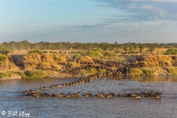 Serengeti National Park, Serian North Alex Walker Camp