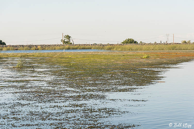 Discovery Bay Photos by Bill Klipp