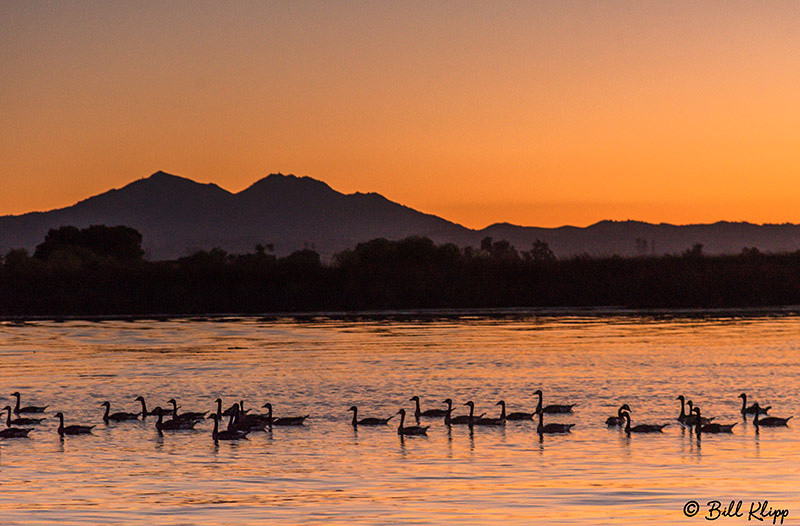 Sunset, Discovery Bay, Photos by Bill Klipp