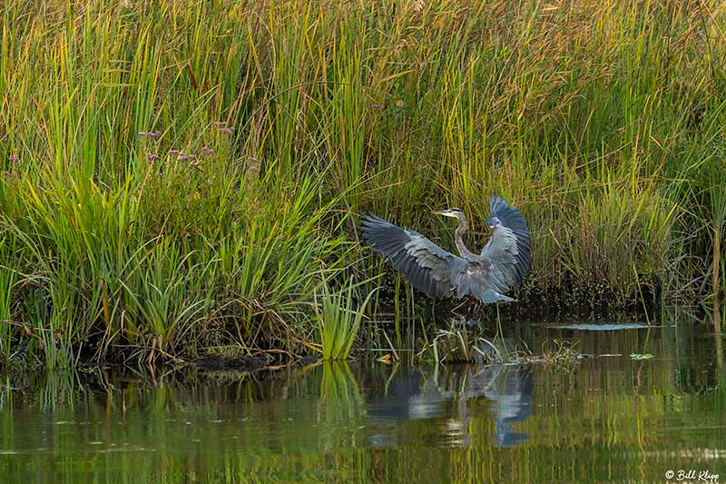 Discovery Bay Photos by Bill Klipp