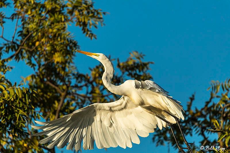 Discovery Bay Photos by Bill Klipp