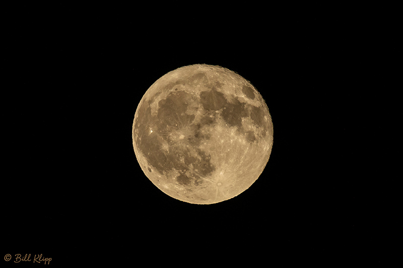 Full Moon, Discovery Bay Photos by Bill Klipp