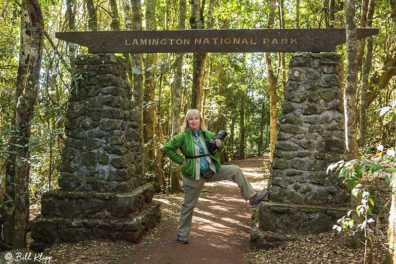 O'Reillys, Lamington National Park, Australia, Photos by Bill Klipp