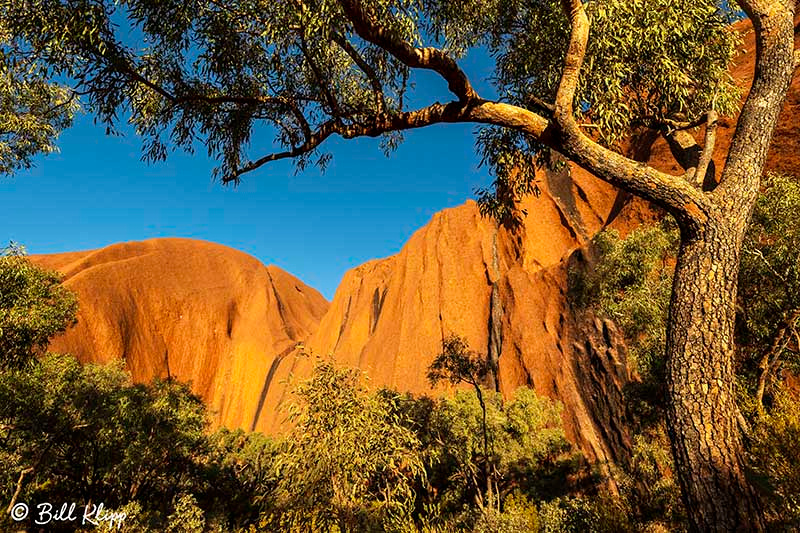 Uluru, Kantju Gorge, Ayers Rock, Uluru-Kata_Tjuta, Australia, Photos by Bill Klipp