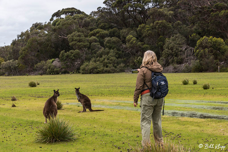 Kangaroo Island, Southern Ocean Lodge, Australia, Photos by Bill Klipp