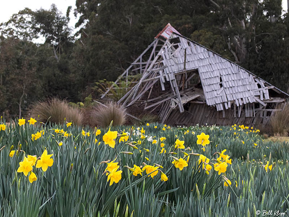Inala Nature Lodge, Bruny Island, Tasmania, Australia, Photos by Bill Klipp