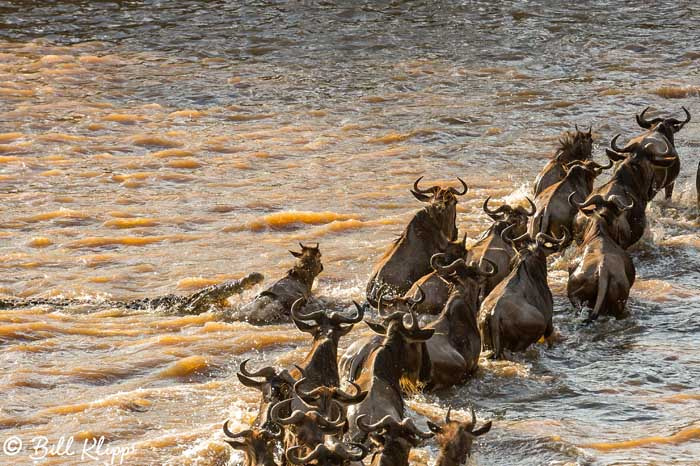 Serengeti National Park, Serian North Alex Walker Camp