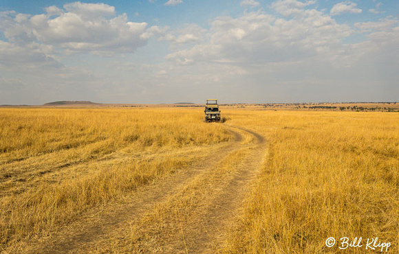 Serengeti National Park, Serian North Alex Walker Camp