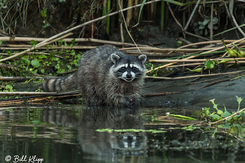 Discovery Bay, Photos by Bill Klipp